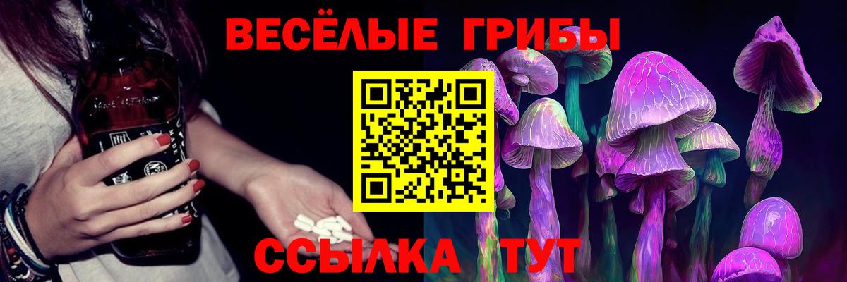 Псилоцибиновые грибы Cubensis  Вход с VPN  Тамбов 